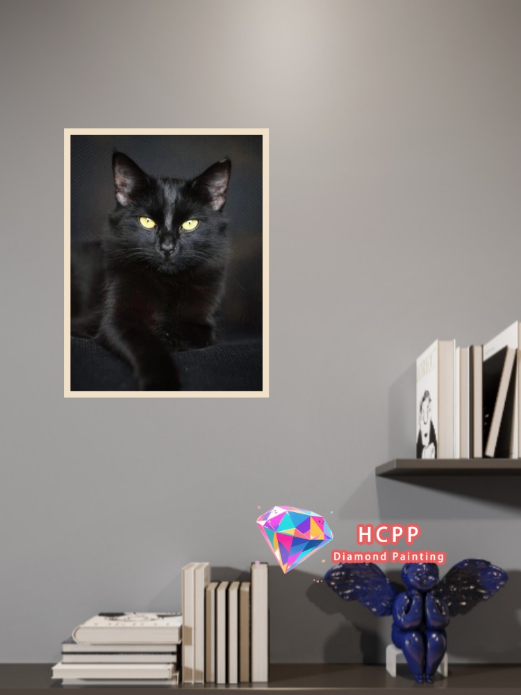 Kit Pittura Diamante Gatto Ner - Unique Art Craft recensione e prezzo