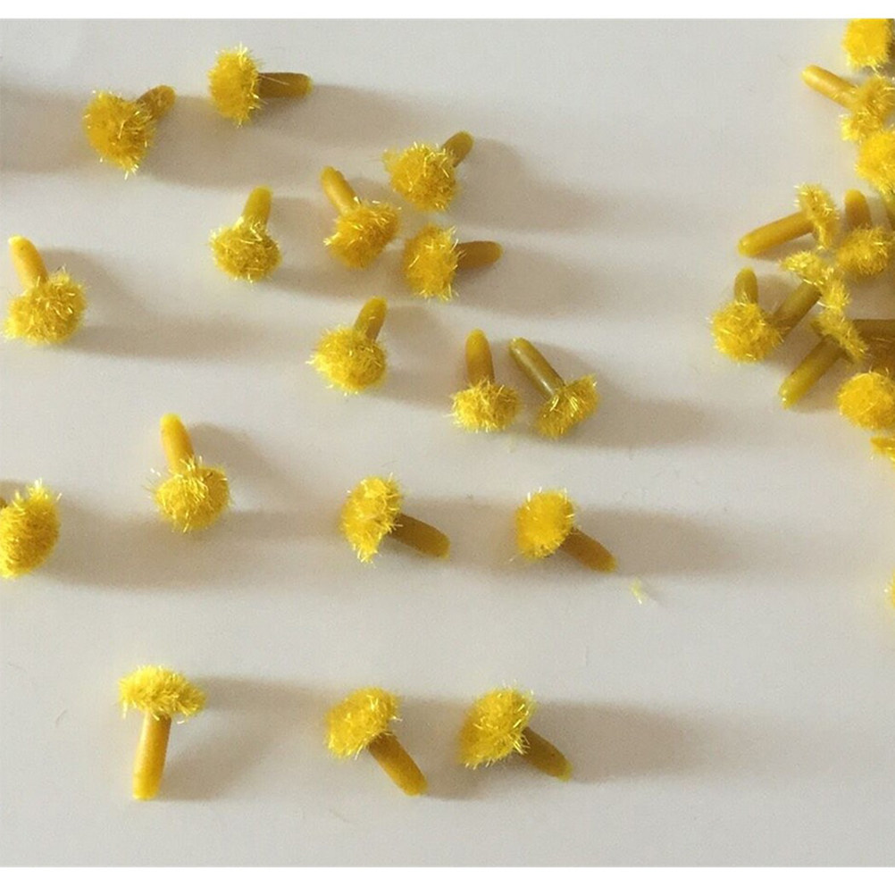 200 Pezzi Stami di Girasole Si - Art Craft Flower recensione e prezzo