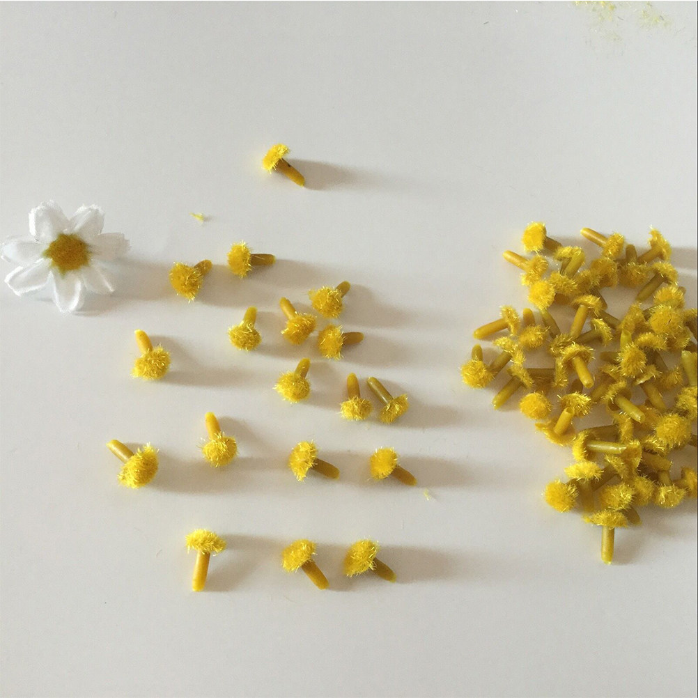 200 Pezzi Stami di Girasole Si - Art Craft Flower recensione e prezzo